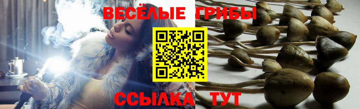 Псилоцибиновые грибы Magic Shrooms  Вход с VPN  Нижневартовск 